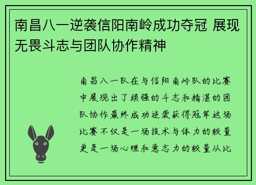 南昌八一逆袭信阳南岭成功夺冠 展现无畏斗志与团队协作精神