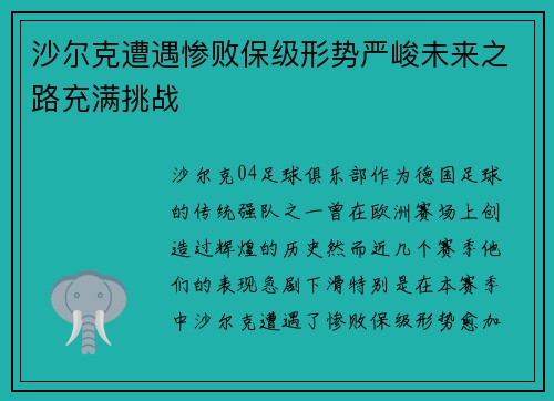 沙尔克遭遇惨败保级形势严峻未来之路充满挑战
