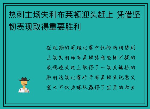 热刺主场失利布莱顿迎头赶上 凭借坚韧表现取得重要胜利
